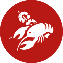 Lobster and Shrimp icon