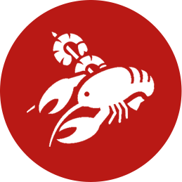 Red Lobster Careers Benefits Perks [ 259 x 259 Pixel ]