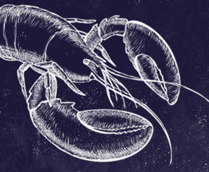 Chalk sketch of a lobster in whit on a textured, blue background